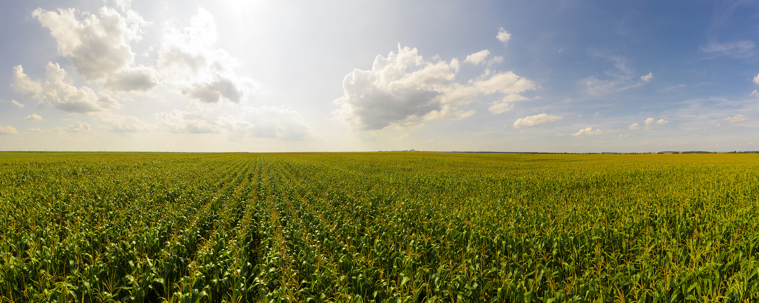 In a Case Study Conducted by Lux Research, AquaSpy-Managed Fields Generated 22% Higher Yields