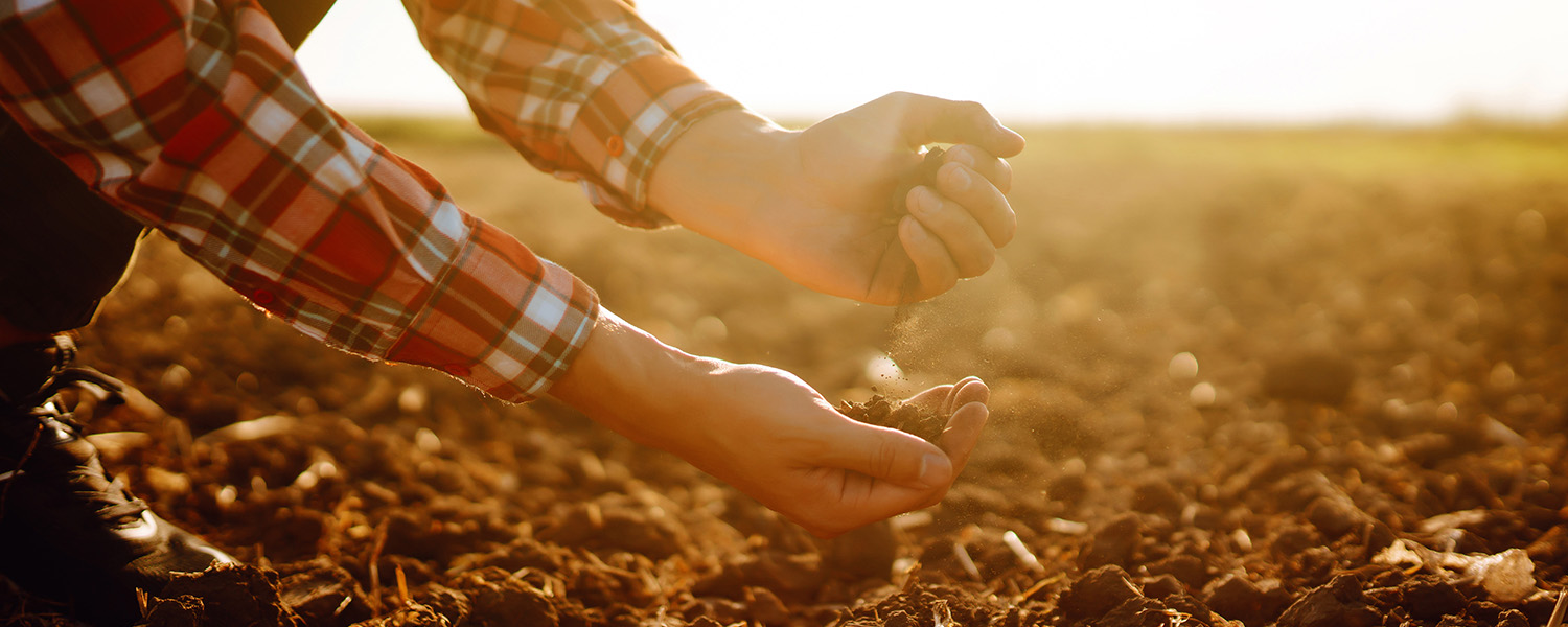 How improving soil health supports farm profitability while protecting natural resources
