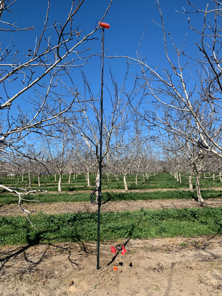 AquaSpy probe in almond orchard