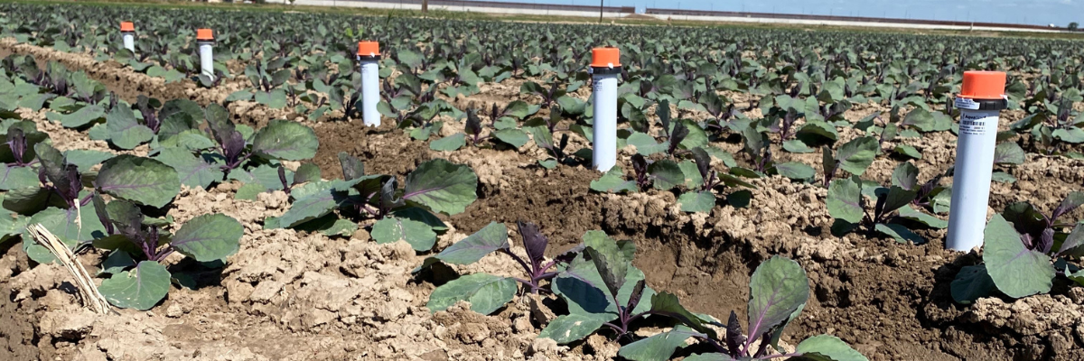 TEAL Partners with AquaSpy to Revolutionize Crop Monitoring with Advanced IoT Connectivity