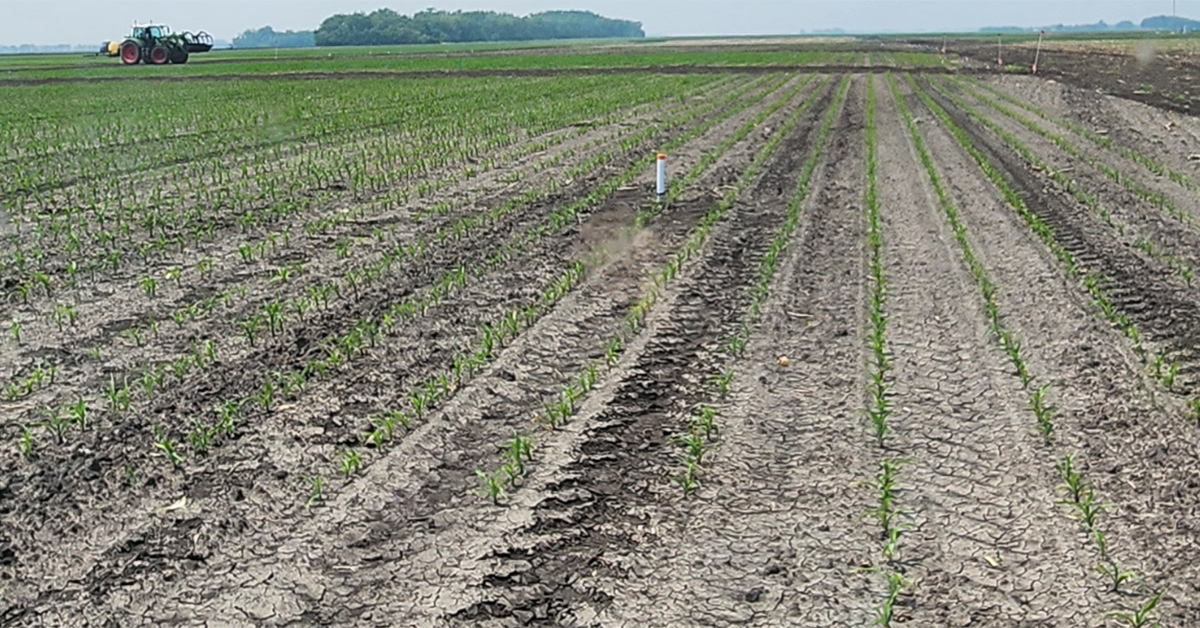 AquaSpy showcases water and nutrient use efficiency pilot at Grand Farm North Dakota