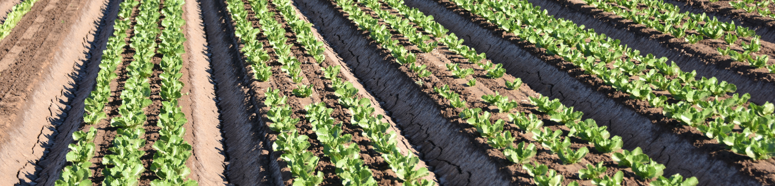 AquaSpy’s Crophesy LS-N system supports academic research, first published paper