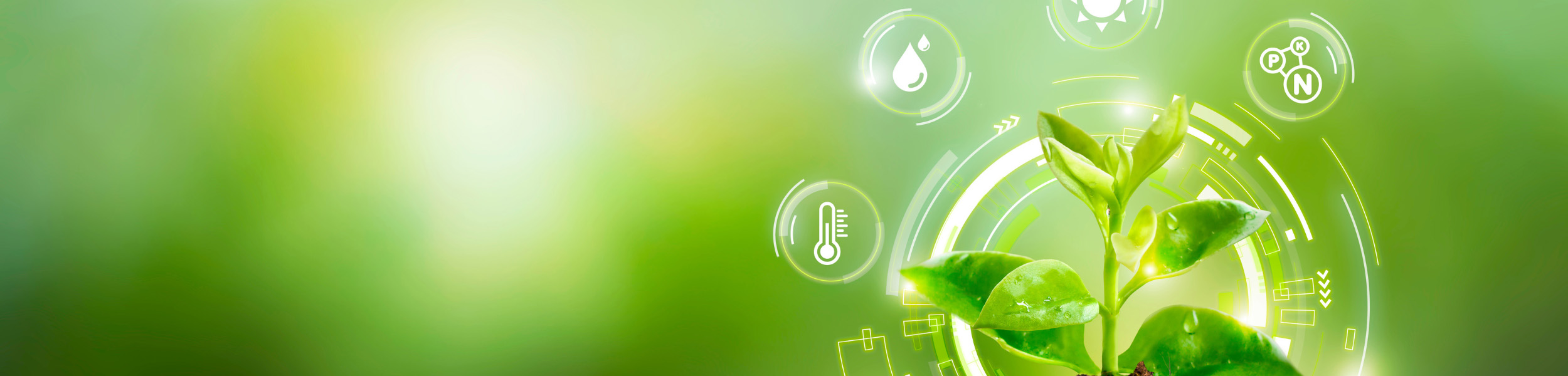 Movement to Reduce Use of Synthetic Nitrate on Farms Drives Interest in Novel Fertilizers and Specialized Applications