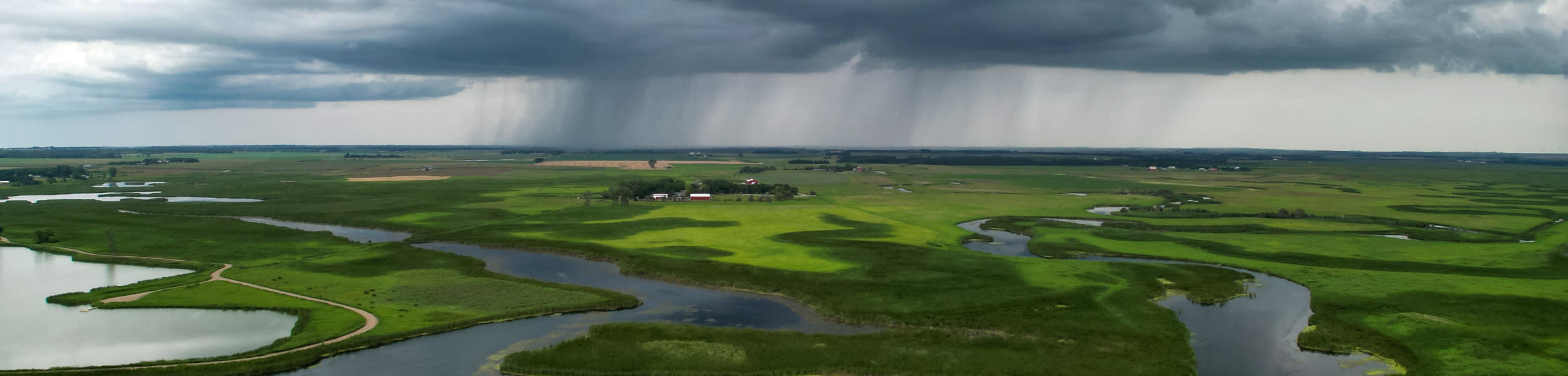 Reducing Fertilizer Runoff Naturally: Practical Strategies to Protect Waterways