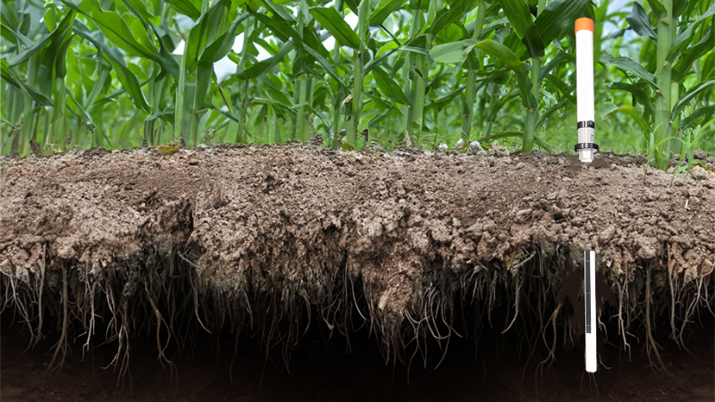 Tight Margins, Wet Fields, Expensive Nitrogen: How Eastern Corn Belt Growers Can Stay Ahead in 2026