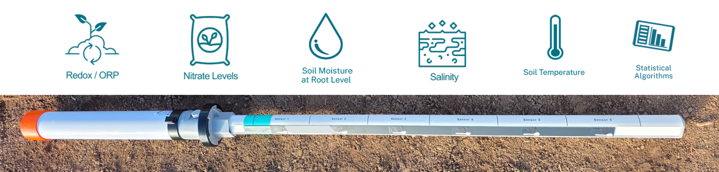 Match Nitrogen Timing to Crop Demand: The Difference Between Feeding a Crop and Chasing a Problem