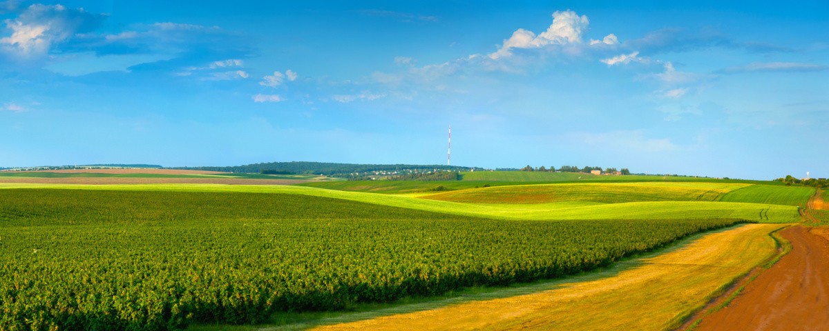 Low Soil ORP Measurements Don’t Always Mean “Waterlogged”