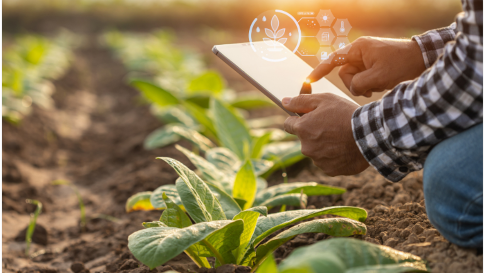 Making Agronomists Smarter, Not Busier