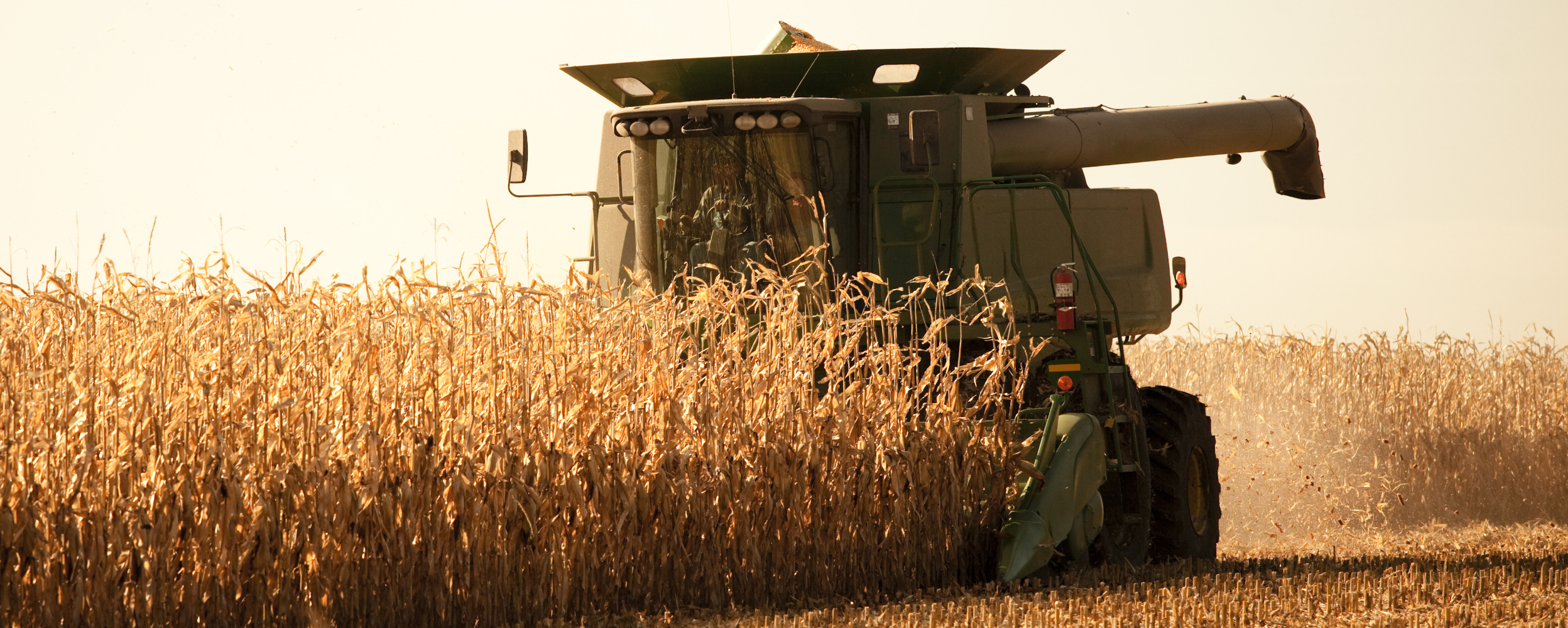 Why Nitrate Doesn’t Move in a Straight Line